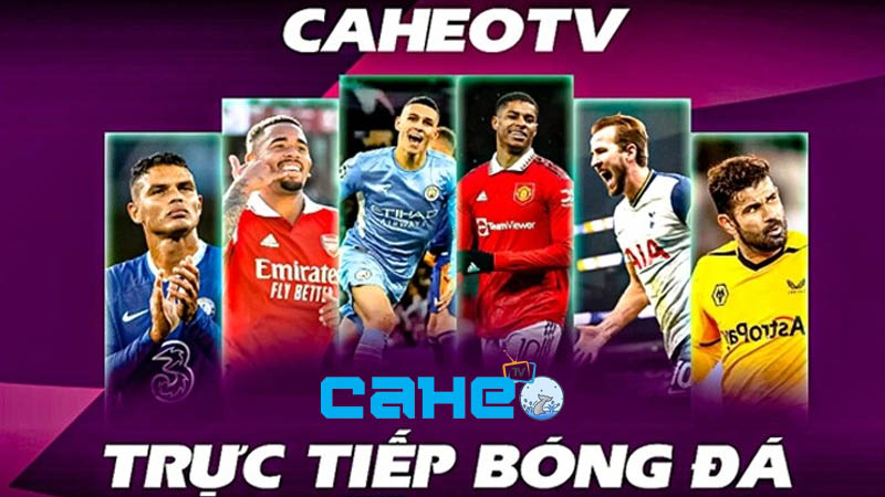 Khám phá tổng quan về chuyên trang caheo tv