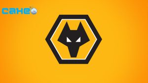 Tổng quan về câu lạc bộ Wolverhampton Wanderers