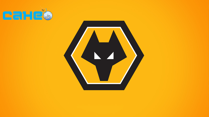 Tổng quan về câu lạc bộ Wolverhampton Wanderers